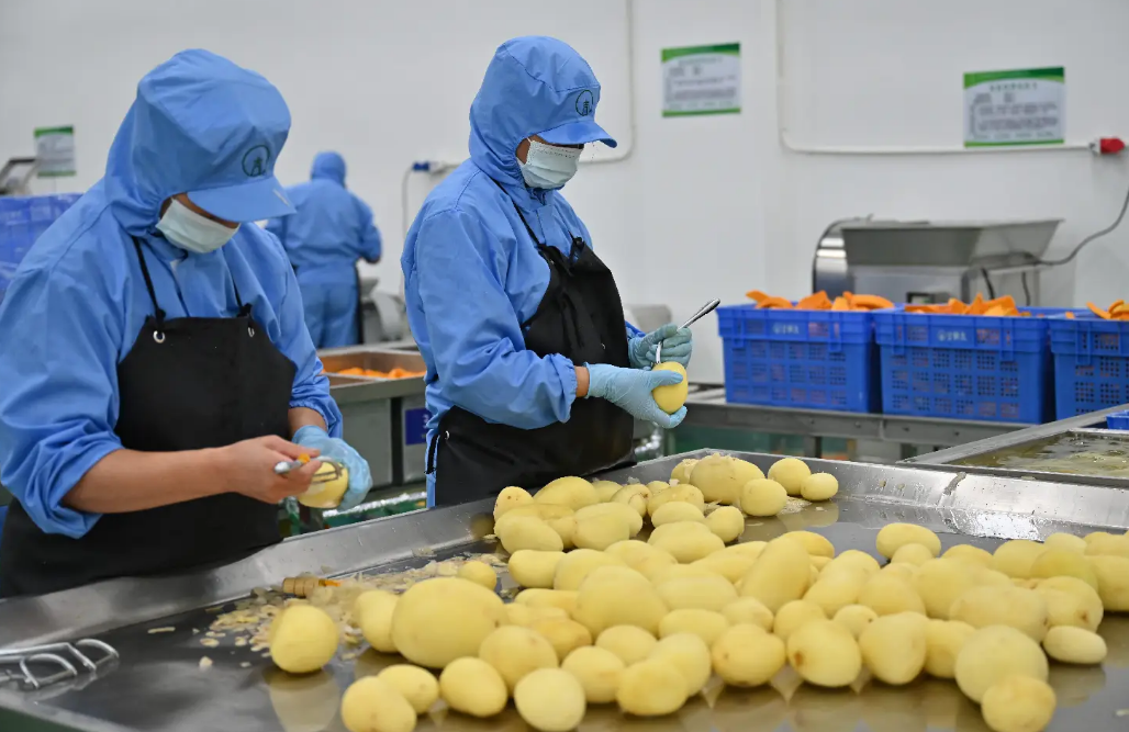 <strong>農(nóng)副產(chǎn)品深加工：農(nóng)業(yè)發(fā)展的強(qiáng)大助力之全自動(dòng)凈菜加工生產(chǎn)線</strong>